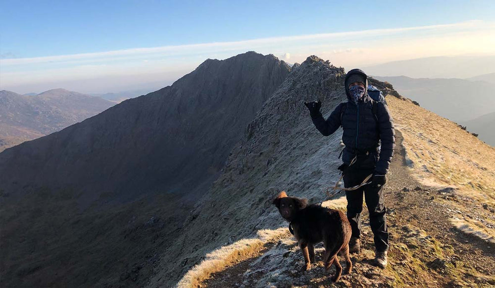 Man and a dog standing at the top of a mountain