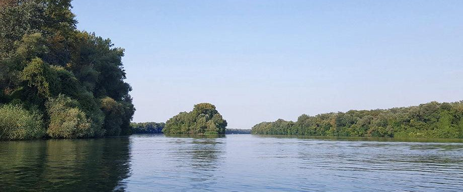 Paddleboarding on the Hungarian Plain, Lake Tisza