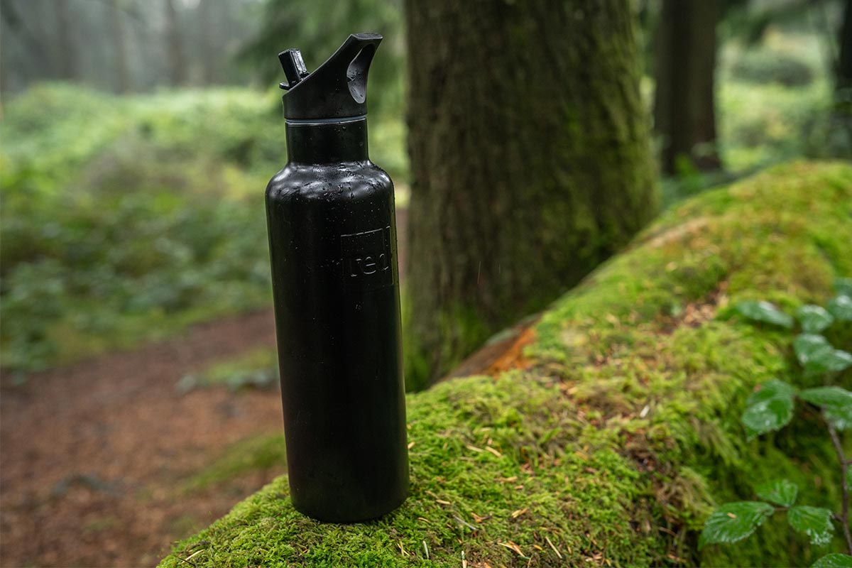 The Black Red Original Insulated Stainless Steel Water Bottle On A Moss-Covered Tree Trunk